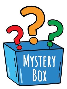 Men’s shirt Mystery bundle (10 assorted shirts men size small)